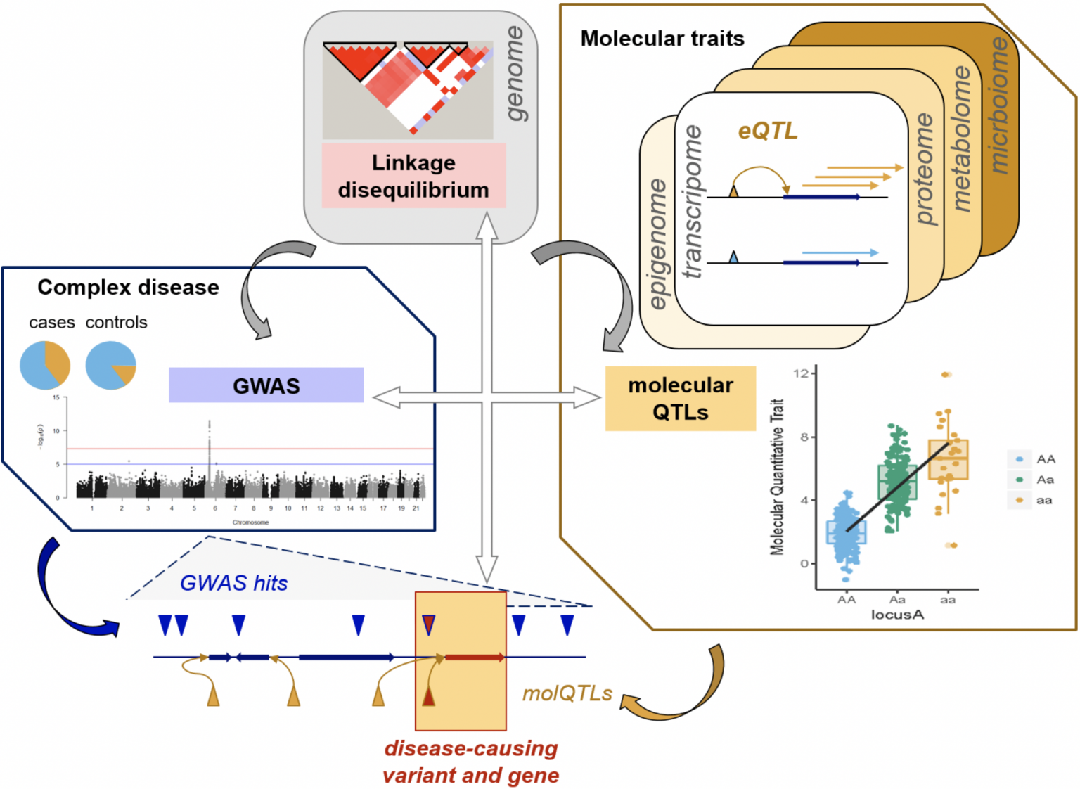 Integrative Biology - Immediab